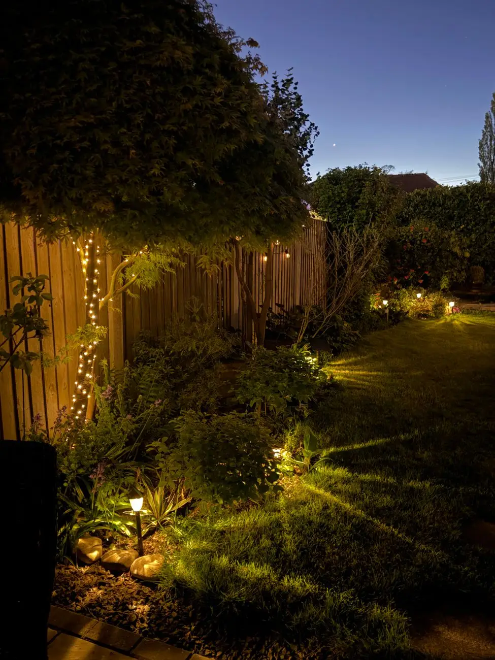 Back garden at dusk with fairy lights and lit planting along a timber fence